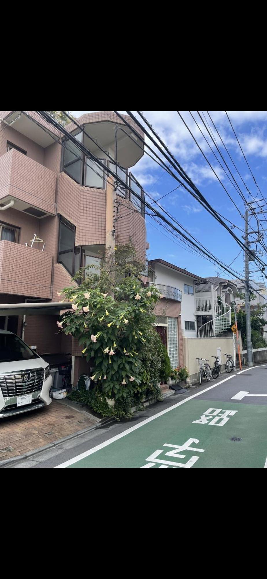 新宿安靜の家-A Quiet Home In Shinjuku - A 26 Square Meter Double Bed Room That Feels Like Home Токио Экстерьер фото